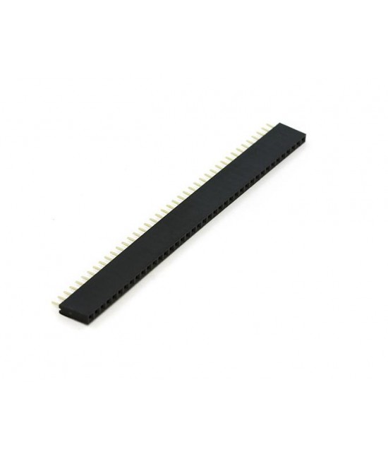 Header Connector Strip 40 Pin 1x40 Single Row Female
