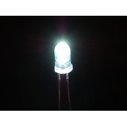 LED White Clear 5mm / White Light Emitting Diode