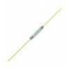 Reed Switch Magnetic