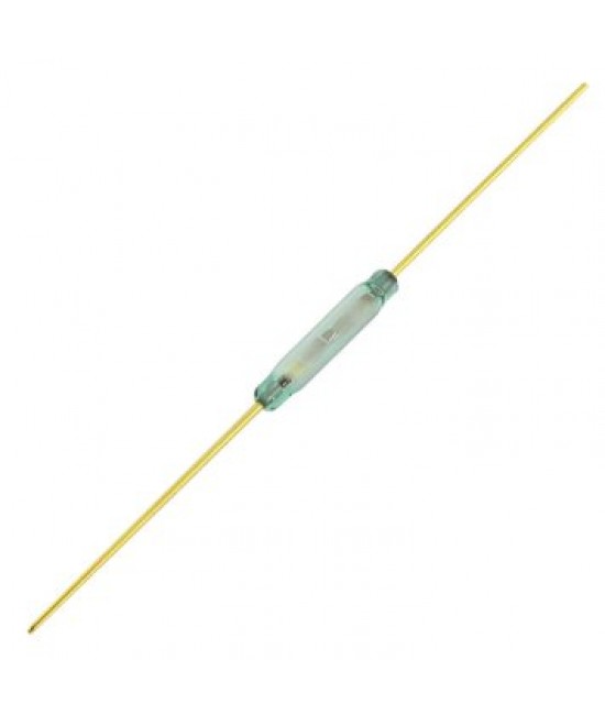 Reed Switch Magnetic