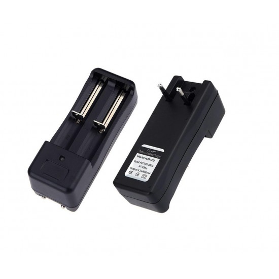 Universal Li-Ion Batteries Charger